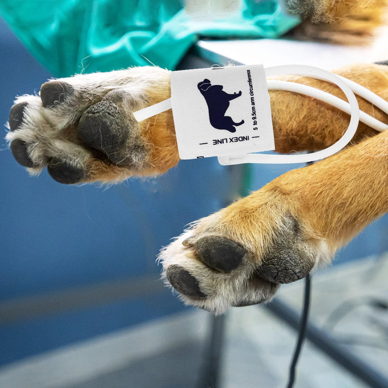 Universal Practical Cat Blood Pressure Cuff for Pets, Non-woven Fabric, Secure Arm Circumference 5-9.5cm, for Veterinary Medical Blood Pressure Monitoring