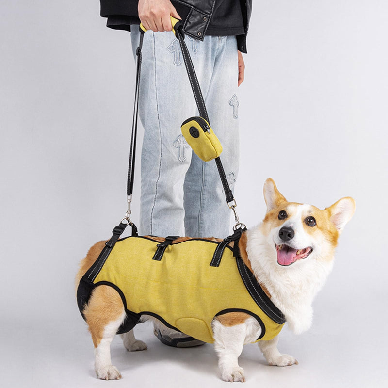 Full Body Support Dog Lift Belt with Ergonomic Constructions for Older Dogs with Shock Absorption and Adjustable Belt Shock Absorption Strust Harness
