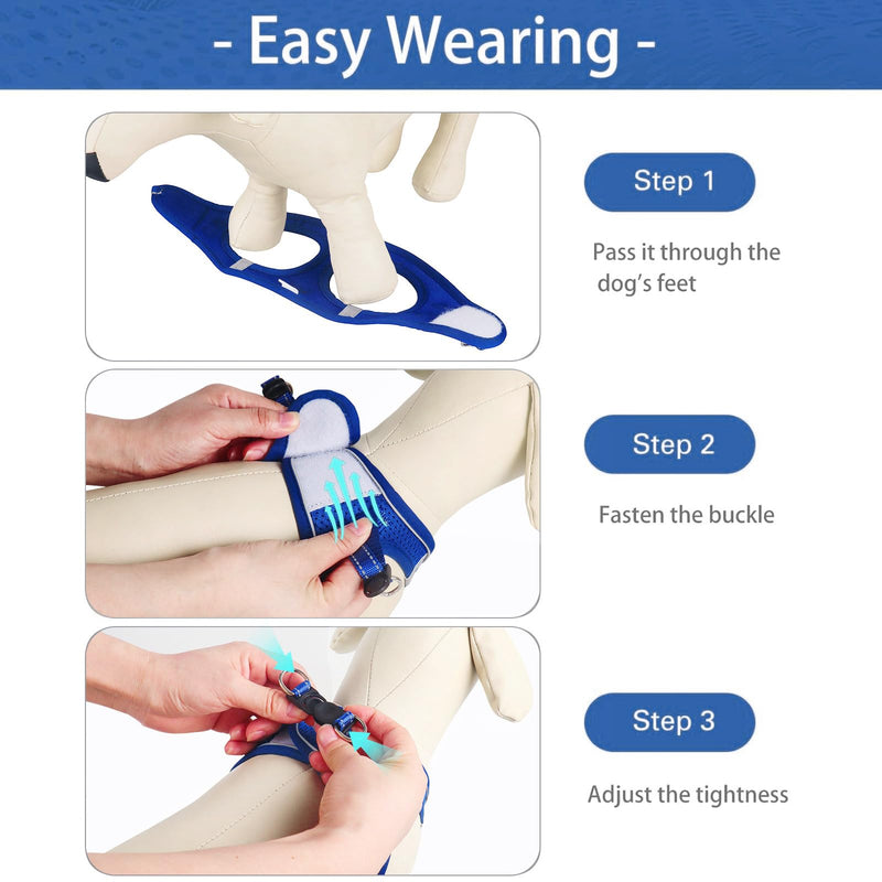 Dog Harness for Small Dogs and Leash Set, Honeycomb Grid, Reflective Lightweight Harness & Anti-Twist Pet Lead (Multi Color, Size: XS-S-M) (S, Sapphire Blue) S - PawsPlanet Australia