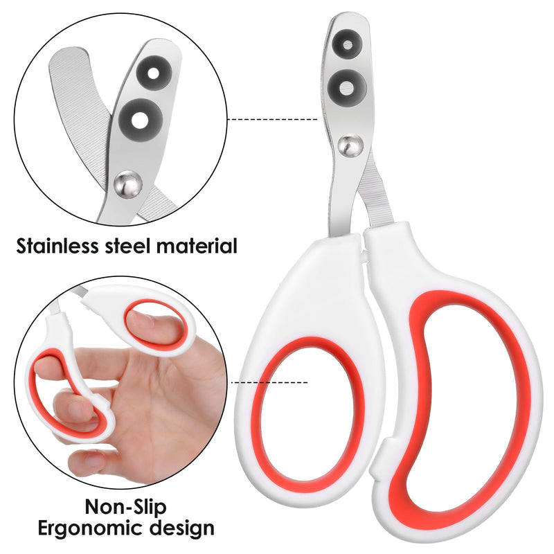 Stainless Steel Bearded Dragon Nail Clippers, Lizard Nail Clippers, Bearded Dragon Tank Accessories, Beardedd Dragons Accessories, Pet Nails Clipper for Small Reptiles,Turtle,Chameleon - PawsPlanet Australia