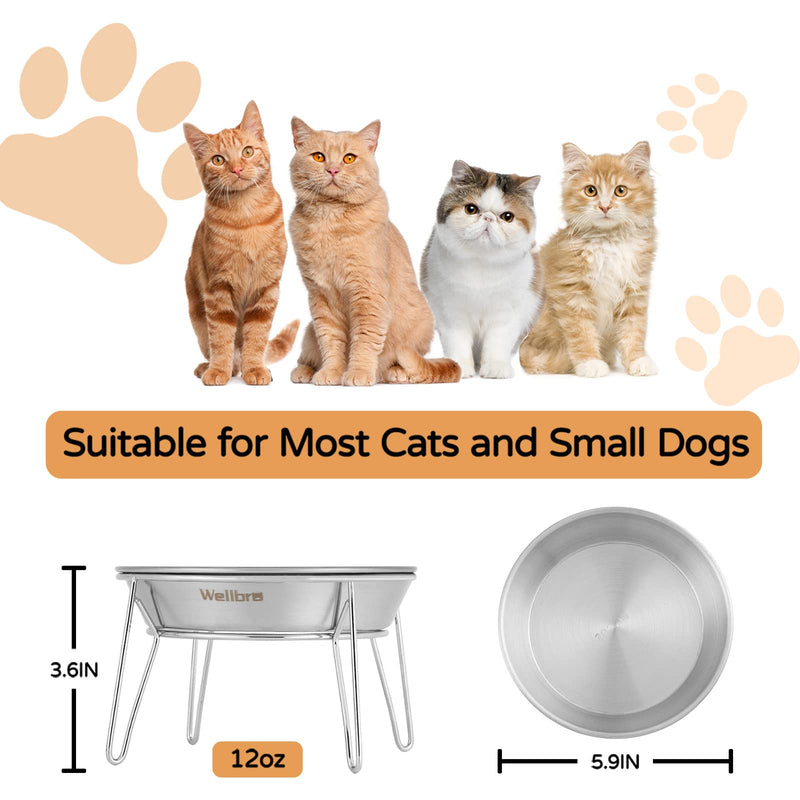 Elevated Cat Bowls, 5.9 Inch Wide Stainless Steel Cat Food Bowls with Metal Stand Whisker Stress-Free, Raised Food and Water Dish for Cats, Kitten, Puppies and Small Dogs-2 Pack 2 pack raised bowls