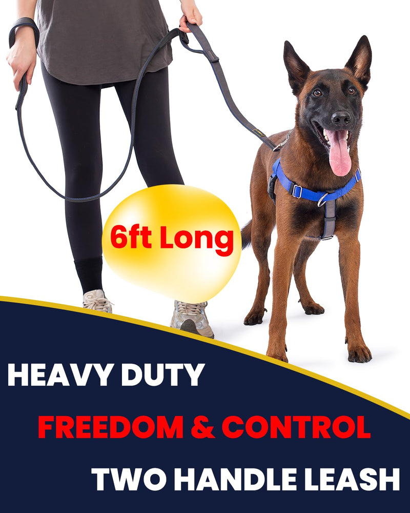 Dog Leashs for Medium Dogs, Heavy Duty Two Handles for Extral Control and Training, Three-Layer Sandwich Mesh-Lined Nylon Webbing, Sturdy Metal Zinc Hook, 6FT Long (Purple/Grey, 3/4'' X 6ft.) 3/4'' X 6ft. Purple/Grey - PawsPlanet Australia