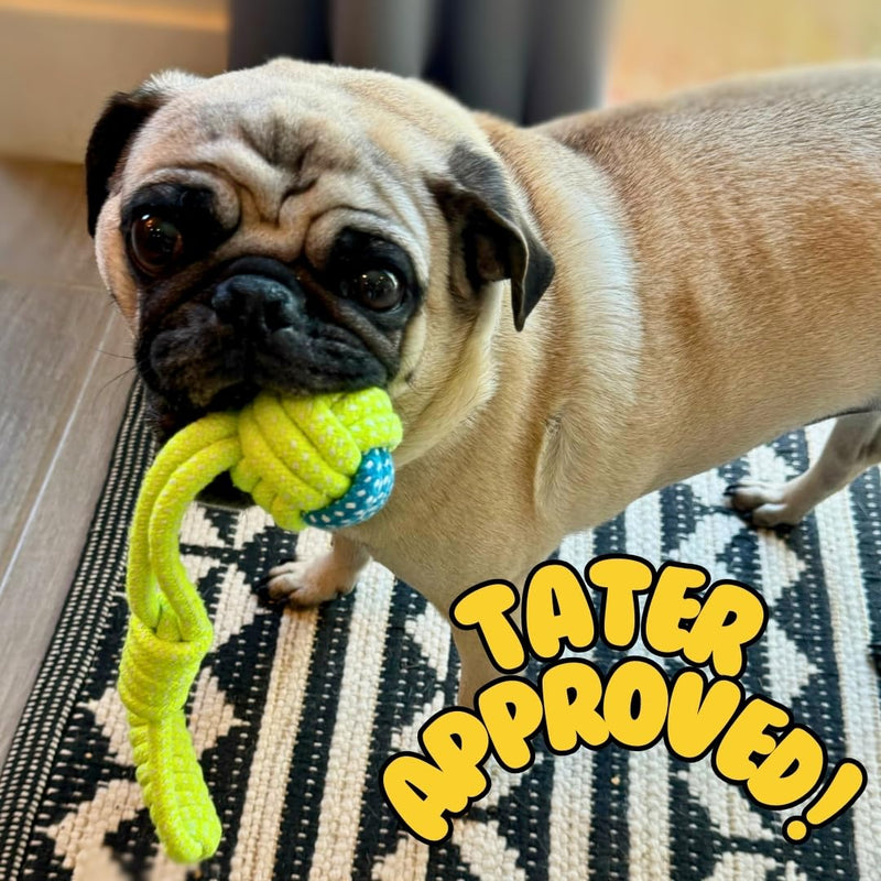 Tater's Choice 4pc Rope Toy Set, Durable Cotton Knotted Woven Pet Dog Toy Rope Set for Small to Medium Dogs, Eco-Friendly Cotton Rope Toys - PawsPlanet Australia