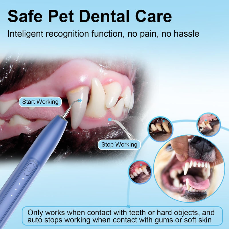 Ultrasonic Dog Plaque Remover Tool, 3 Modes Plaque and Tartar Remover for Dogs, Low Noise Sonic Dog Tartar Remover Dogs Plaque Remover with Toothbrush 2 Cleaning Head for Pet Dental Care, Blue JY09 - PawsPlanet Australia