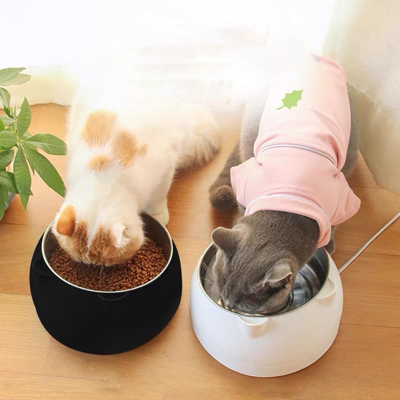 Stainless Steel 3-Piece 15° Inclined Cat & Dog Feeding Bowl Set, 400ml Capacity Each, Modern Design for Cats, Kittens & Small Dogs