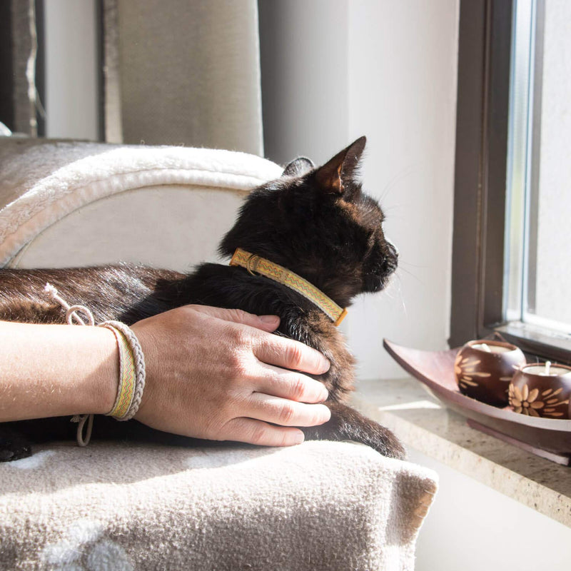 Pettsie Breakaway Cat Collar & Matching Friendship Bracelet – Soft Cotton, Safe & Comfortable, Adjustable 7.5"-11.5", Yellow 7.5"-11.5" Neck