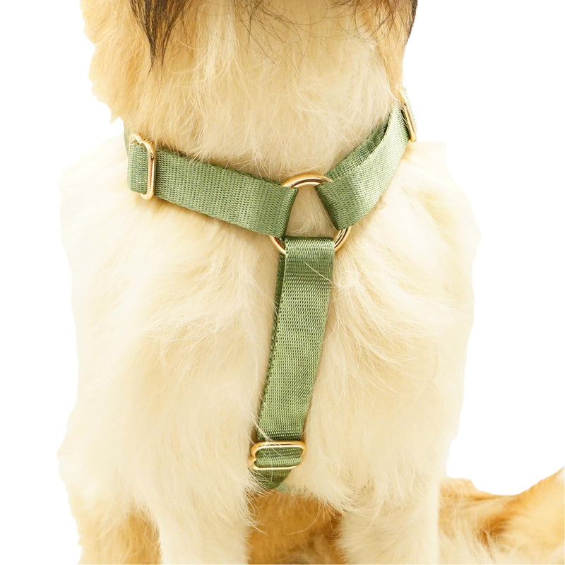 Nylon No Pull Dog Harness with Gold Metal Buckles,Easy Walking and Training Dog Harness (Sage Green, L) Sage green - PawsPlanet Australia