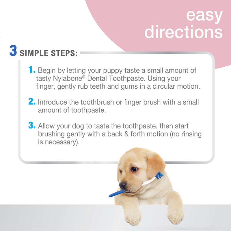 Nylabone Advanced Oral Care Puppy Dental Kit Puppy Original 3 Count