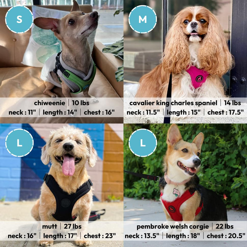 Gooby Escape Free Sport Harness - Black, Small - No Choke Step-in Patented Neoprene Dog Harness with Four-Point Adjustment for Small to Medium Dogs Small chest (12.5-18.75") - PawsPlanet Australia