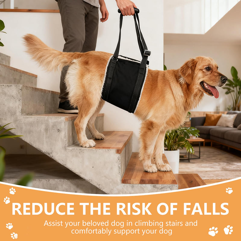 Dog Carrying Aid, Adjustable Walking Aid and Rehabilitation Carry Strap for Various Sizes, Safety Support for Disabled, Injured or Older Dogs, M