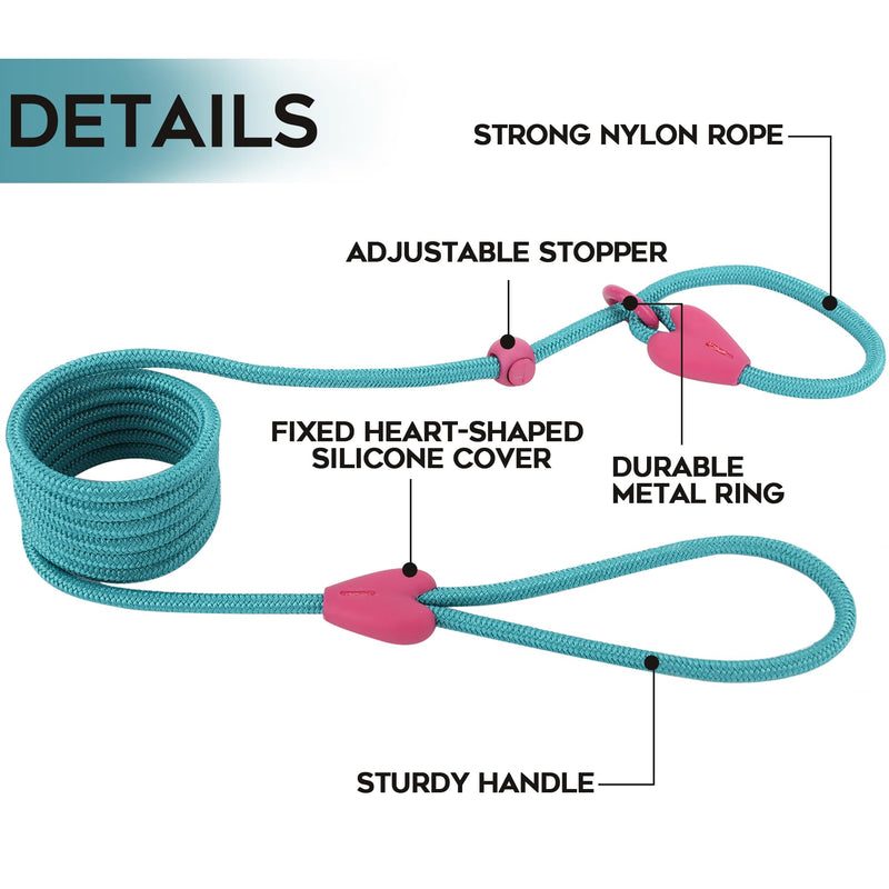 Slip Lead No Pull Dog Leash Slip Leads for Dogs Puppy Leash 6FT Slip Leash for Dogs Dog Lead with 6 Colors Strong Nylon Dog Training Leash Dog Leash (Green) Small Lake Green - PawsPlanet Australia