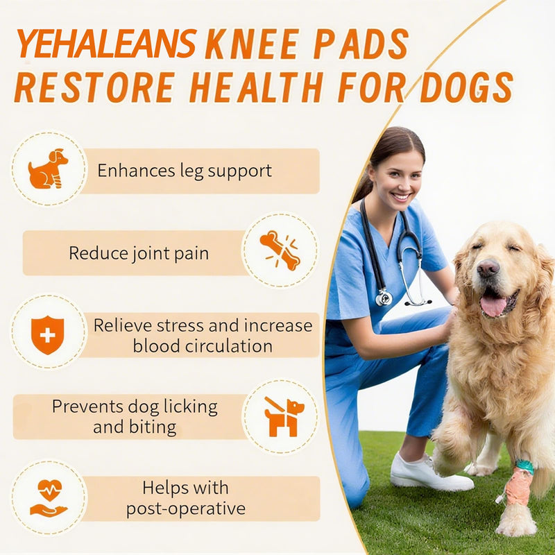 Dog Knee Brace for Torn Acl Hind Leg, Adjustable Dog Knee Brace, Helps Relieve Anterior Cruciate Ligament Tears Dog Leg Brace, Keeps Joints Stable, Relieves Pain, L (GGHX) GGHX