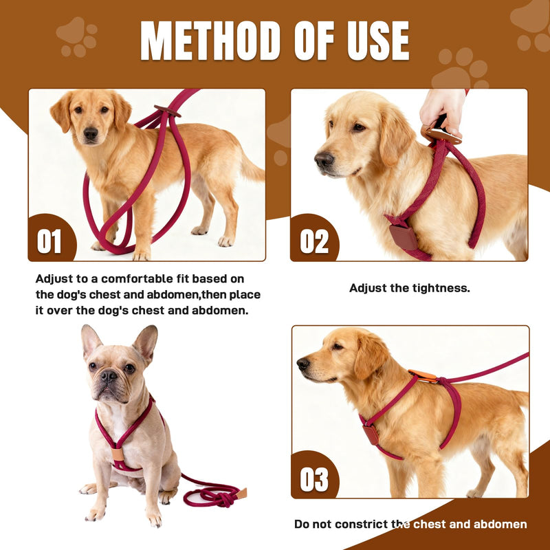 Slip Leads for Dogs, No Pull Rope Dog Harness, Collar Leash and Harness All in One, Adjustable Pet Training Lead for Walking, Dog Leashes for Small Medium Large Dogs, 5ft Red - PawsPlanet Australia