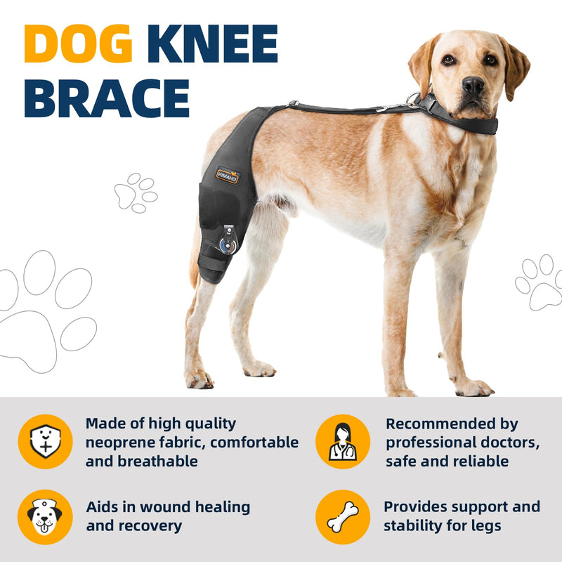 CHAMIN Adjustable Dog Knee Brace for Torn ACL Hind Leg, Support for Tear Ligament, Osteoarthritis, Rear Leg Limp, Recovery After Surgery,et(Right Leg,XL) Right Leg XL