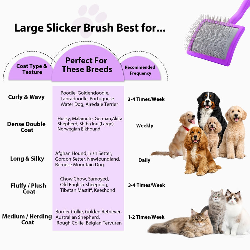 Large Long Pin Slicker Brush for Poodles, Goldendoodles & Long Haired Dogs - 25mm Pins Professional Grooming Tool with Wooden Handle for Thick Curly Coats, Mats & Undercoat - Purple