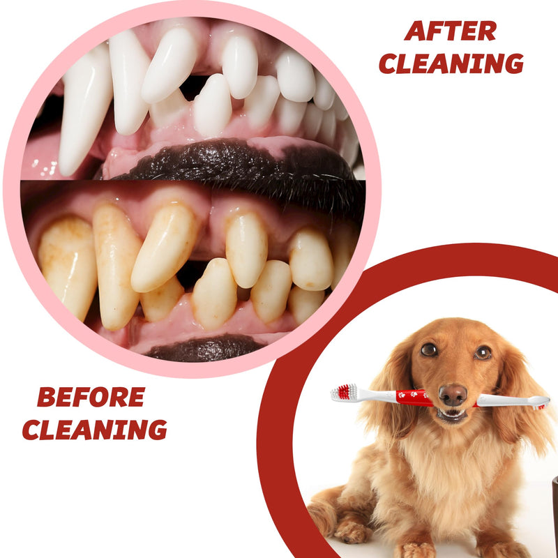 Pet Toothbrush for Dogs, Cats with Soft Bristles - Easy Teeth Cleaning & Dental Care, Non Slip Dual Head Dog Toothbrush for Medium & Large Pets, Toothpaste Not Included (Pack of 4(Multi)) Pack of 4(multi)