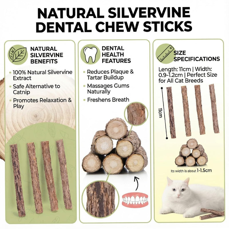 5 Sticks for Cats Dental Care Natural, Chew Bone Against Bad Breath Toothbrush and Cat Toy Made of Wood for Self-Employment
