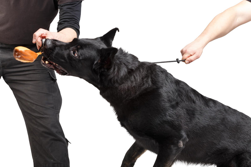 Dingo Gear Choke Collar for Dog Training Handmade of Cord with A Limiter, Waterproof Black S04059, (XL) XL