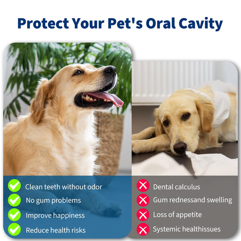 Dog Plaque and Tartar Remover,Ultrasonic Plaque Remover for Teeth with LED Light,3 Modes Low Noise Sonic Dog Tooth Cleaning Kit Tool for Pet Dental Care,White - PawsPlanet Australia