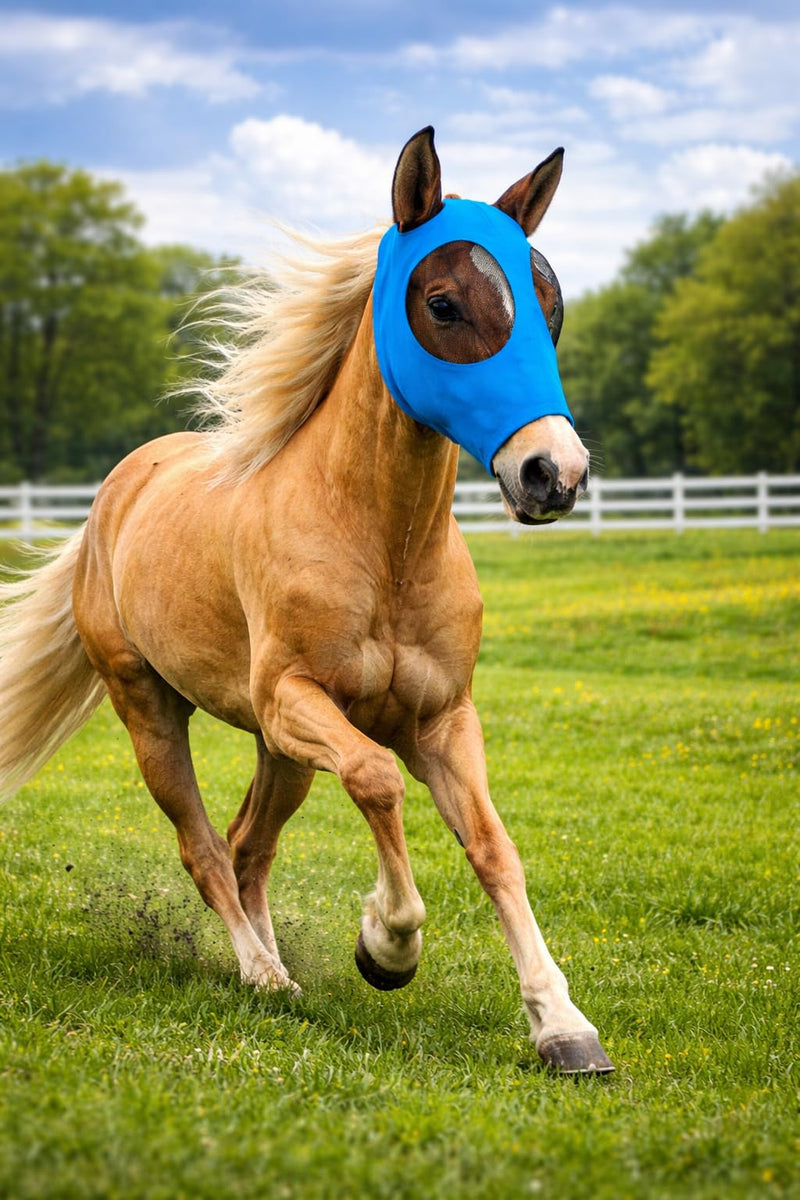 Horse Fly Mask - Arab Equine Fly Mask with Full Coverage for Eye & Ear - Stretchable, UV & Sun Protection Flymask for Horses, Ponies & Mini Horses - Horse Face Cover for Pasture & Trail - 3pack