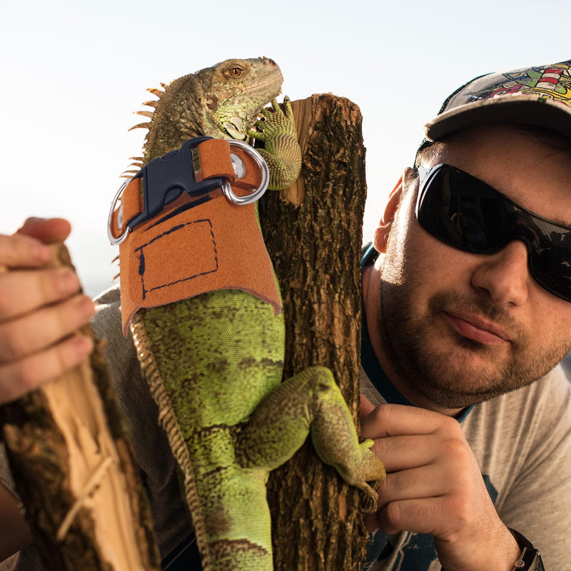 3 Pcs Bearded Dragon Harnesses, Adjustable Soft Leather Lizard Harness with Retractable Traction Rope Small Animal Walking Vest Leash Accessories Set for Reptiles Squirrel Lizard Chinchilla - PawsPlanet Australia