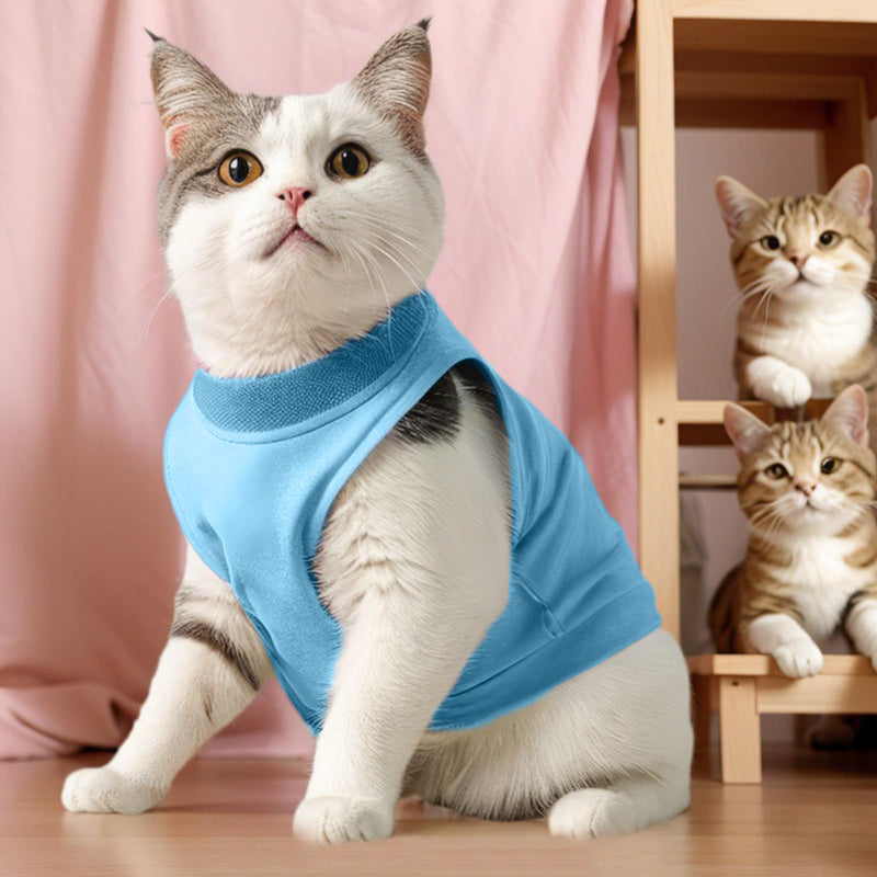 Amexo Cat Surgery Recovery Suit Cat After Surgery Bodysuit for Abdominal Wounds or Skin Diseases Kitten Surgical Onesie E-Collar Alternative for Cats and Dogs (Blue, S) Blue