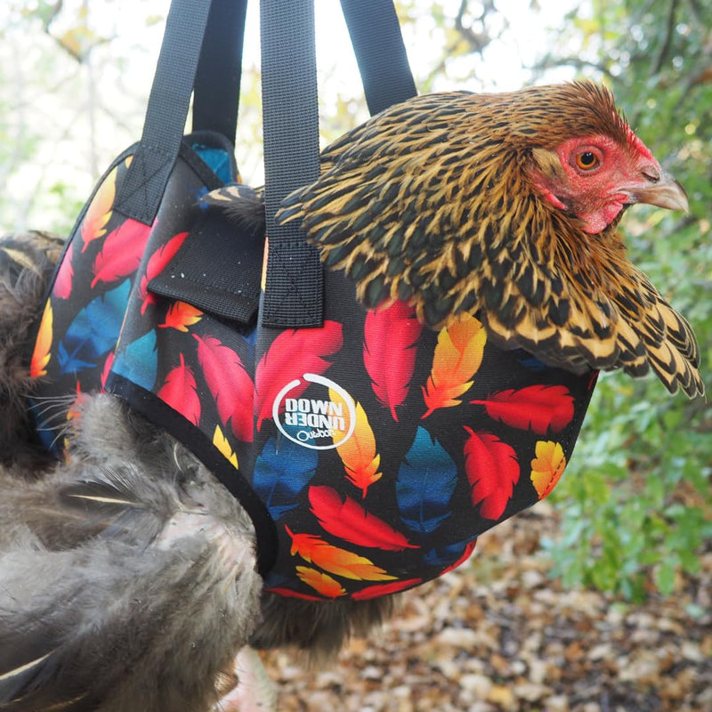 DOWN UNDER OUTDOORS Chicken Carrier Sling Holder Bag with Handle, Chicken Accessories for Foot Treatment, Medic, Leg Injuries, Bumblefoot, Poultry Farm Carrying, Transport, Three Sizes (Small) Small