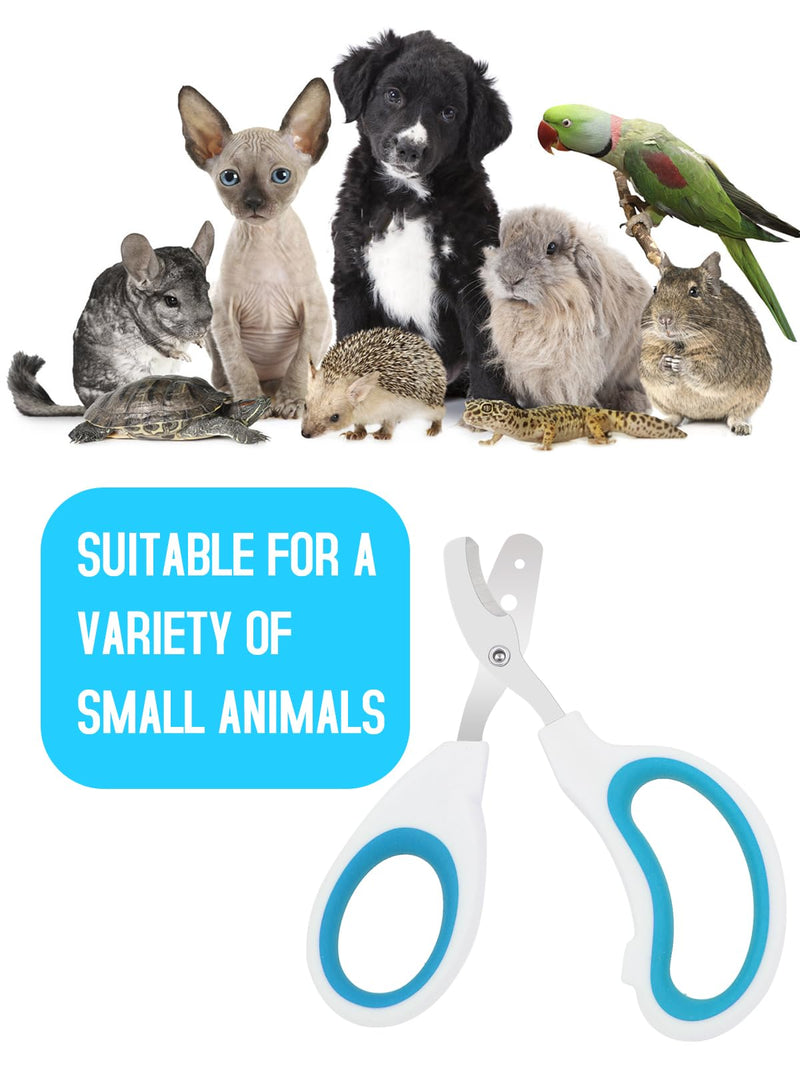 Stainless Steel Bearded Dragon Nail Clippers,Lizard Nail Clippers,Bearded Dragon Supplies,Bearded Dragon Nail Scissors for Small Reptiles,Turtle,Chameleon,Iguana?Hedgehog?Blue? Blue