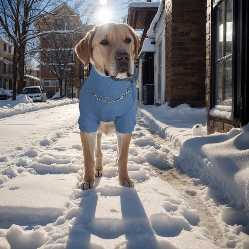 Turtleneck Dog Shirt, Cozy Dog T-Shirt Waffle Dog Clothes Warm Dog Sweatshirt Stretchy Pullover Sweater for Small Medium Large Dogs 2XL Light Blue - PawsPlanet Australia