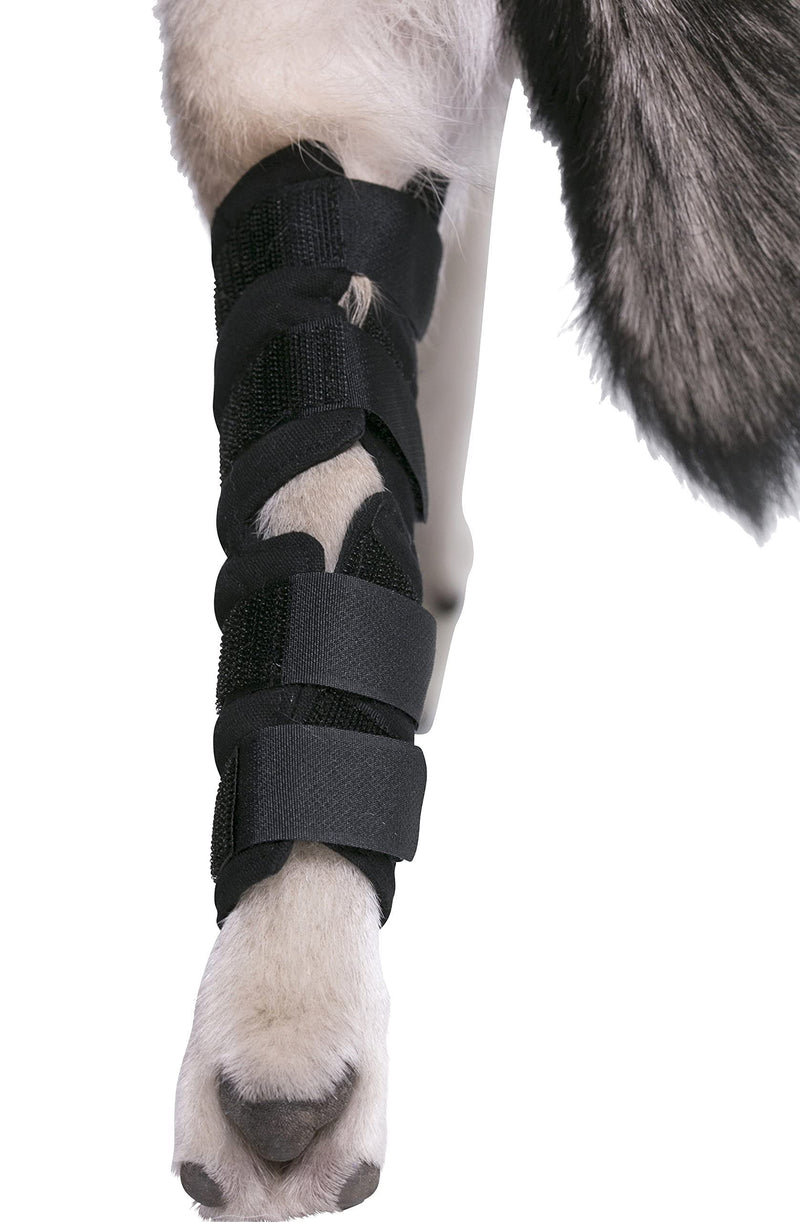 AGON® Dog Leg Braces for Back Leg wrap hock Compression Protects Wounds and Helps heal hind Legs Rear Ankle Joint, preventing Injuries, sprains Providing Stability for Dogs, Canines Arthritis (Large) Large - PawsPlanet Australia