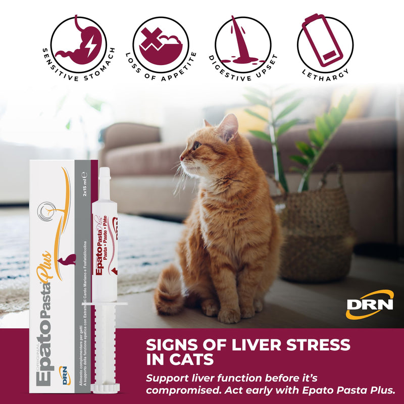 FATRO EPATO 2 Syringes of Pasta hepatoprotector for Cats 15 ml