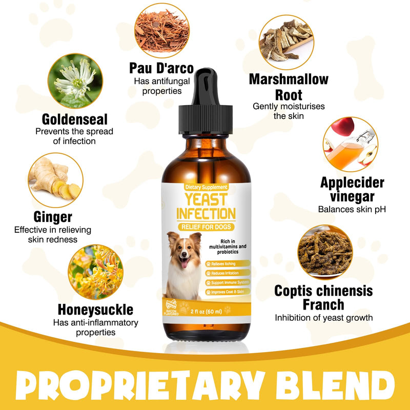 Yeast Infection Treatment for Dogs,Dog Ear Infection Treatment,Itchy Ear,Skin&Allergy Symptoms Relief-Reduces Inflammation&Relieves Irritation,Dog Supplement Drops with Multivitamins Probiotics 2 Pack - PawsPlanet Australia