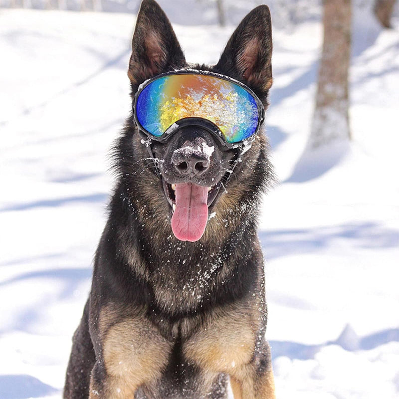 Pacify Dog Goggles for Large Dogs, UV Protection Dog Sunglasses with Adjustable Strap for Medium Large Dog Pet Glasses Black - PawsPlanet Australia