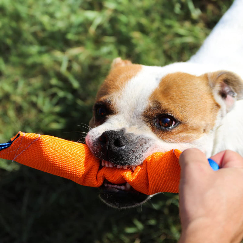 K9 Dog Bite Tug Toy with 2 Strong Handles - Made of Durable & Tear-Resistant Fire Hose - Perfect for Tug of War, Fetch & Puppy Training - Ideal Pull Toy for Medium to Large Dogs, 12 Inches - PawsPlanet Australia