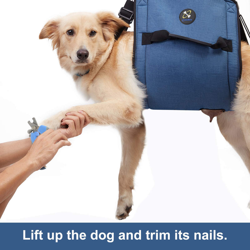COODEO Dog Carry Sling, Emergency Backpack Pet Legs Support & Rehabilitation Dog Lift Harness for Nail Trimming, Dog Carrier for Senior Dogs Joint Injuries, Arthritis, Up and Down Stairs X-Large Blue - PawsPlanet Australia
