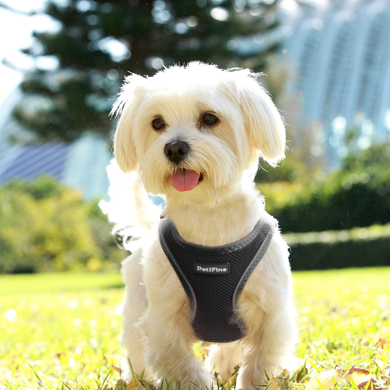 PetiFine Step in Small Dog Harness and Leash Set, Breathable All Weather Air Mesh Reflective Escape Proof, Step-in Vest Harnesses for Puppy(S, Black) S | Neck: 12.6''-13.8'' Chest:16.1''-17.7'' | - PawsPlanet Australia