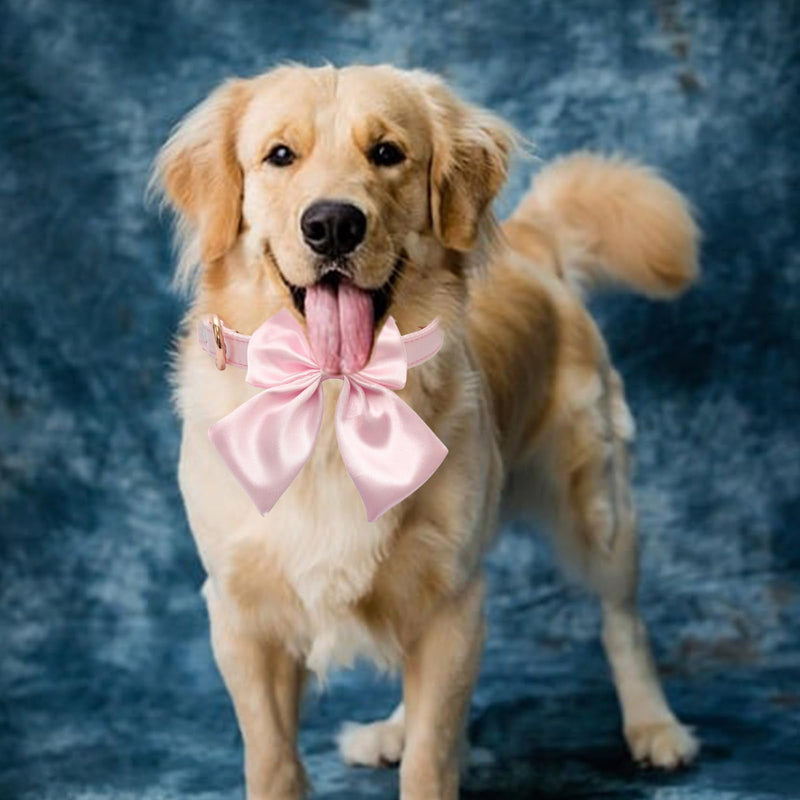 Adjustable Pet Collar Large Bow Knot for Training and Walking with Multiple Sizes Effective Elegant Adjustable Collar