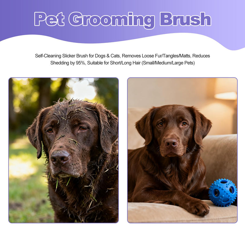 Deshedding Brush For Shedding - Short Long Hair Pet Dog Cat Grooming Tool Brush For Shedding Deshedding Brush for Pet Dogs Cats Rabbits Horses With Flea Comb - PawsPlanet Australia