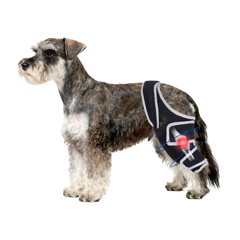 Dog Knee Brace for Torn Acl Hind Leg with Metal Stabilizer- Keeps The Joint Warm and Stable, Adjustable Dog Hind Leg Brace for Small to Large Dog,Size S. Size S
