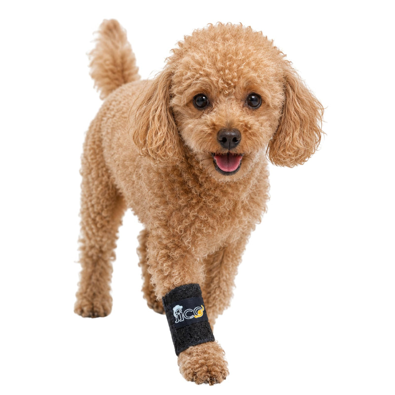 Front Leg Brace for Cats & Toy Dogs – Lightweight Carpal Support for Injury Recovery, Joint Pain & Post-Surgery Healing – Soft, Adjustable Wrap – Vet Approved, Skin Friendly