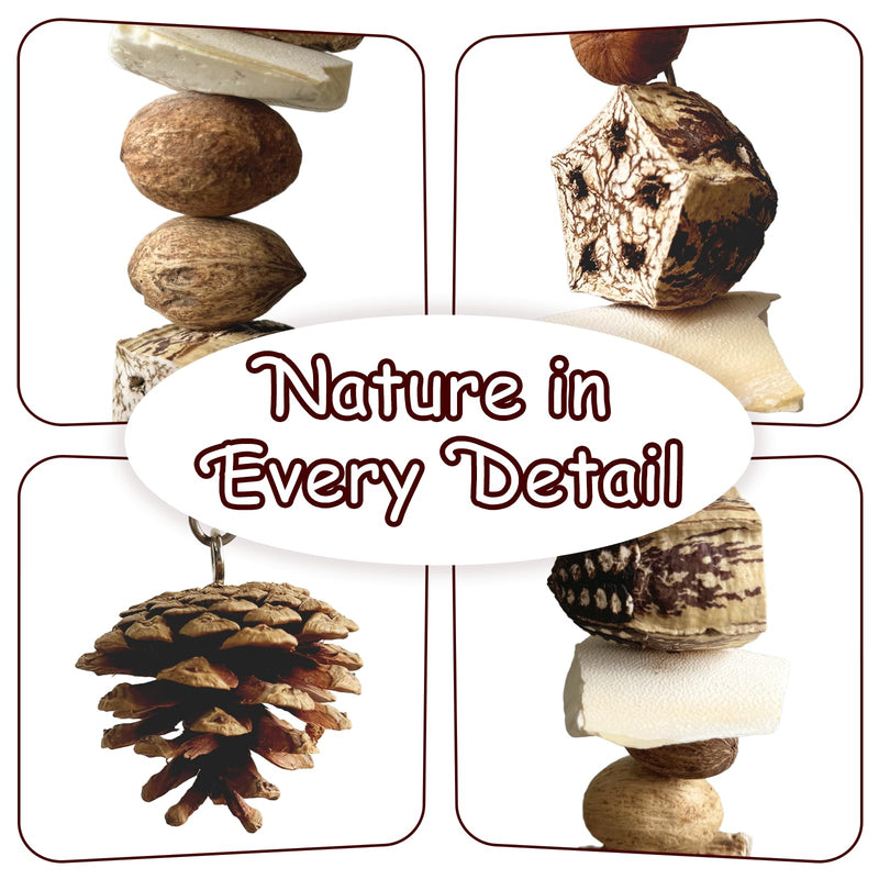 Nut Perch Stand with Interchangeable Materials – Natural, Safe Bird Playset for Beak Exercise & Mental Stimulation Nutty Nature Charms - PawsPlanet Australia