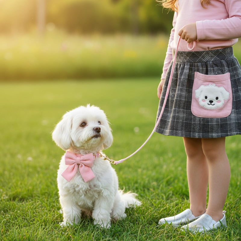 Dog Collar and Leash Set with Bowtie, Pink Cute Girl Dog Collars Bow Metal Buckle Adjustable Corduroy Dogs Collar 10‘’-16‘’for Small Medium Puppy Dogs with 5 FT Leash Pink S - PawsPlanet Australia