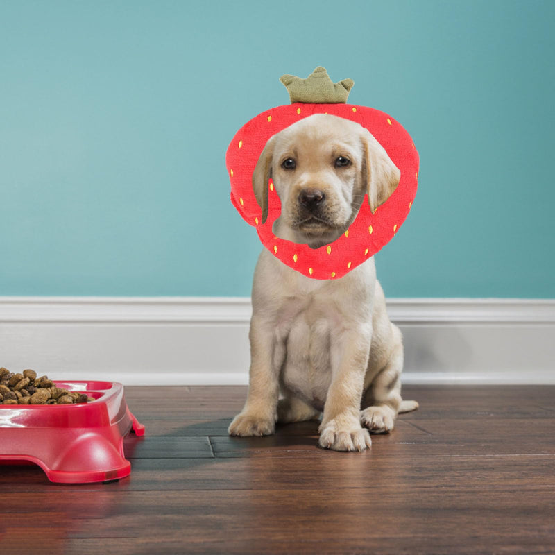 SOLUSTRE Soft Lint Recovery Collar in Fruit Shape, Pet Collar with Scratch-Resistant Function, Prevents Licking and Scratching for Cats During Recovery