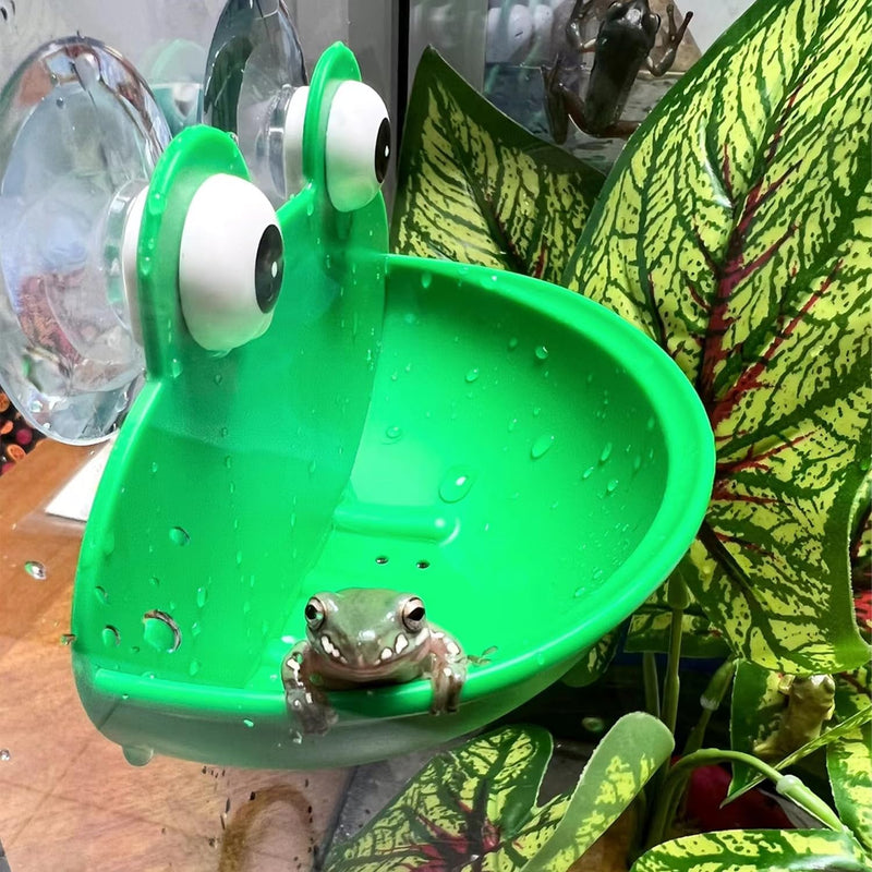 Frog Habitat with Suction Cup, 2 Pcs Cute Fish Tank Accessories Frog Dish Holder Frog Decor Frog Terrarium Decor for Tree Frog Toad Tadpole, Plastic, Green - PawsPlanet Australia