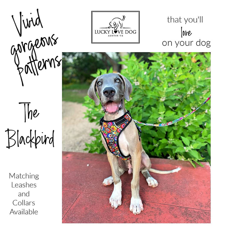 Lucky Love Dog No Pull Dog Harness, Adjustable and Easy to Walk, Cute Patterned Harness for Small Medium Large Male & Female Dogs - Blackbird, Small - PawsPlanet Australia