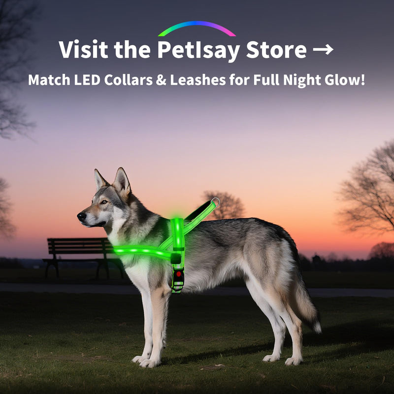 PetIsay LED Light Up Dog Harness - USB-C Rechargeable, IPX7 Waterproof, Reflective, No Pull Dog Vest with Soft Padded Handle for Night Walking(Pink, Medium) M Pink - PawsPlanet Australia