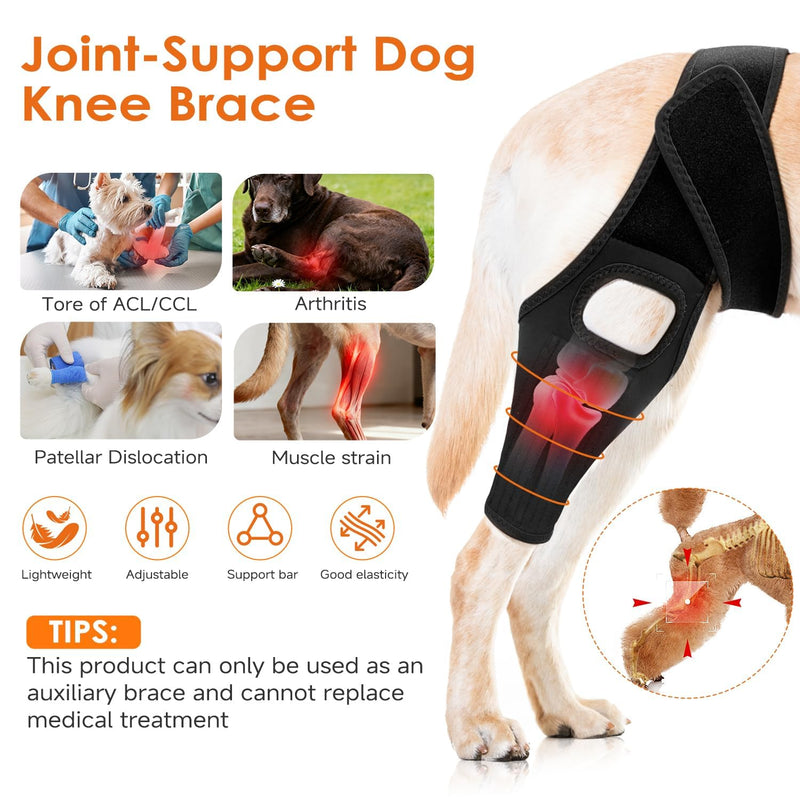 Jorme Dog Knee Brace for Torn ACL Hind Leg, Breathable Neoprene Dog Leg Brace with Adjustable Velcro & Belly Band, Ideal for Arthritis, Luxating Patella & Post-Surgery Recovery (S) S