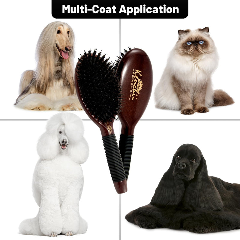 Kenchii Boar and Nylon Bristle Dog/Cat Grooming Brush with One-Piece Maple Body-Choose Size Large, Small (Large) - PawsPlanet Australia