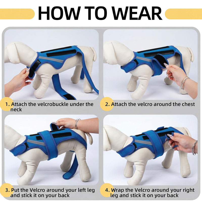 Dog Back Brace M, Adjustable Spine Support Vest for IVDD, Slipped Disc, Herniated Disc, Arthritis, Post Surgery Recovery, Back Pain Relief for Dachshund,Corgi Blue