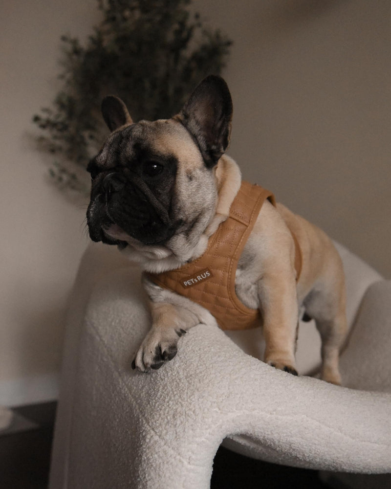 Step-in Dog Vest Harness Classic Quilted Design Vegan Leather Reflective Lightweight Breathable Mesh Soft White Taupe Brown Durable Stylish Pet Accessory (Tan Brown, Small) Tan Brown Small: Neck=9.4-11.4''/Chest=14.5-17'' - PawsPlanet Australia